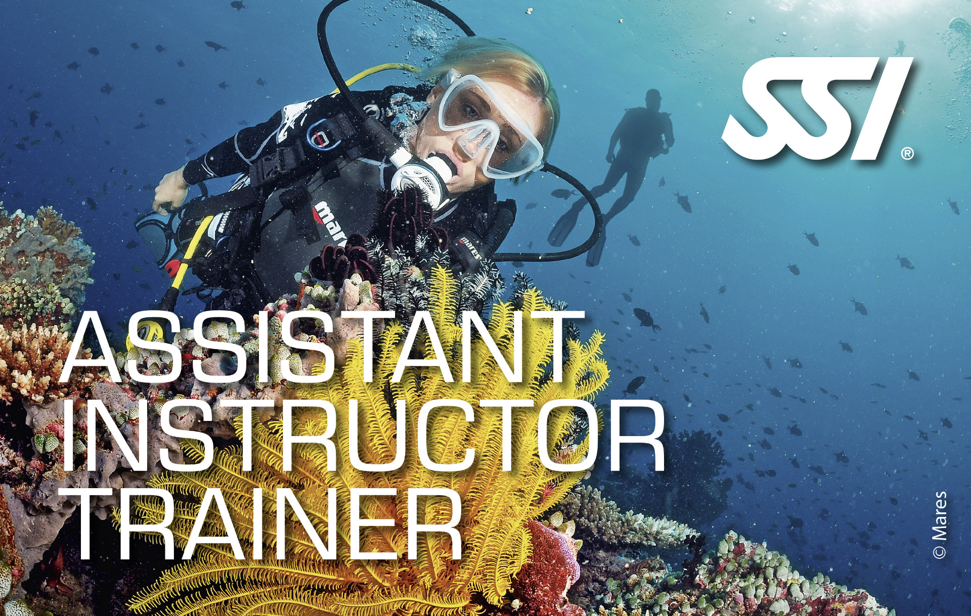 Assistente Trainer